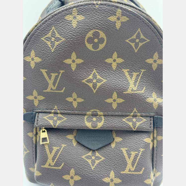 Pre Owned Louis Vuitton Monogram Canvas Mini Palm Springs Backpack