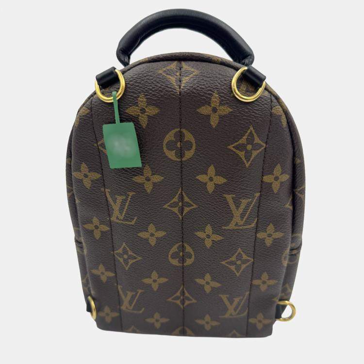 Pre Owned Louis Vuitton Monogram Canvas Mini Palm Springs Backpack