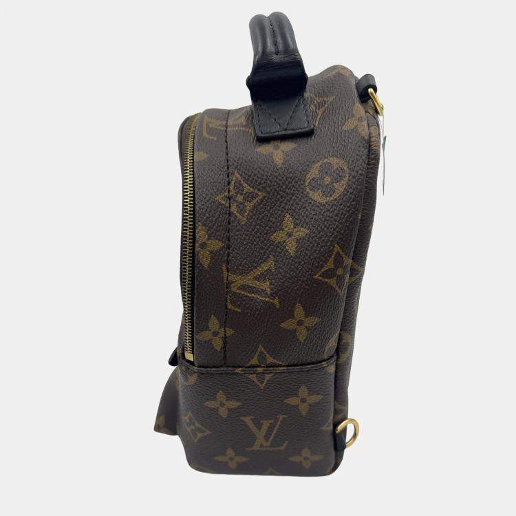 Pre Owned Louis Vuitton Monogram Canvas Mini Palm Springs Backpack