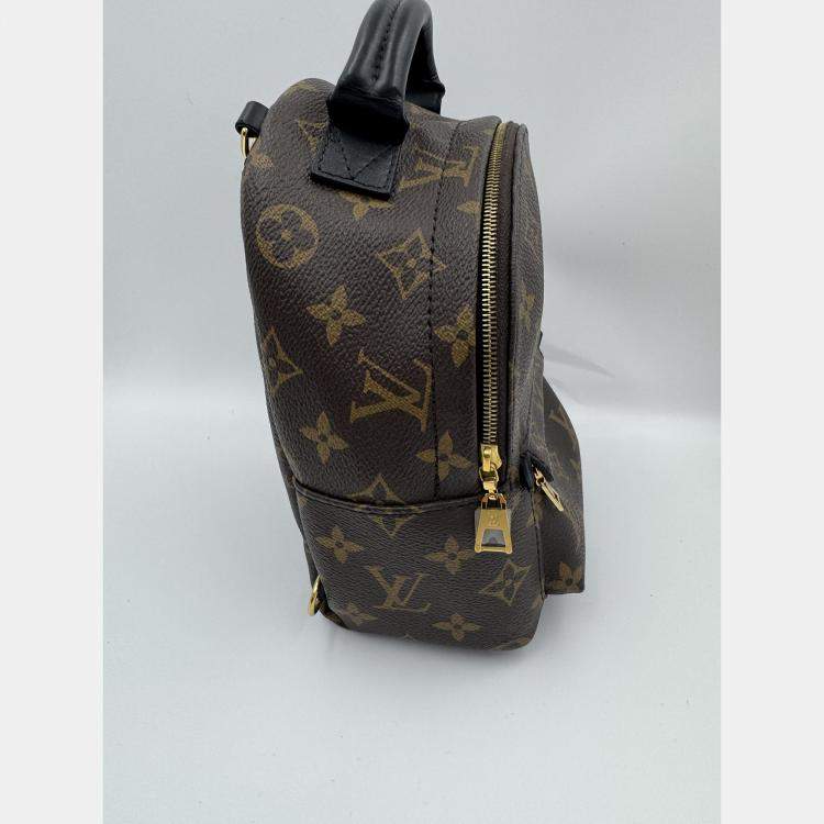 Pre Owned Louis Vuitton Monogram Canvas Mini Palm Springs Backpack