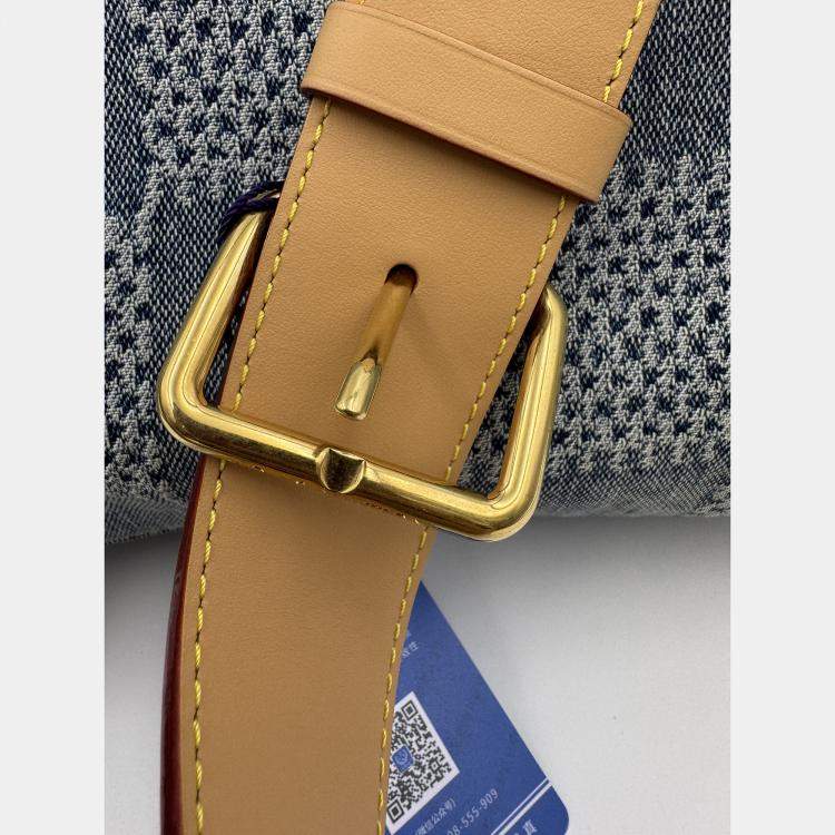 Pre Owned Louis Vuitton Blue Damier Denim Canvas 3D