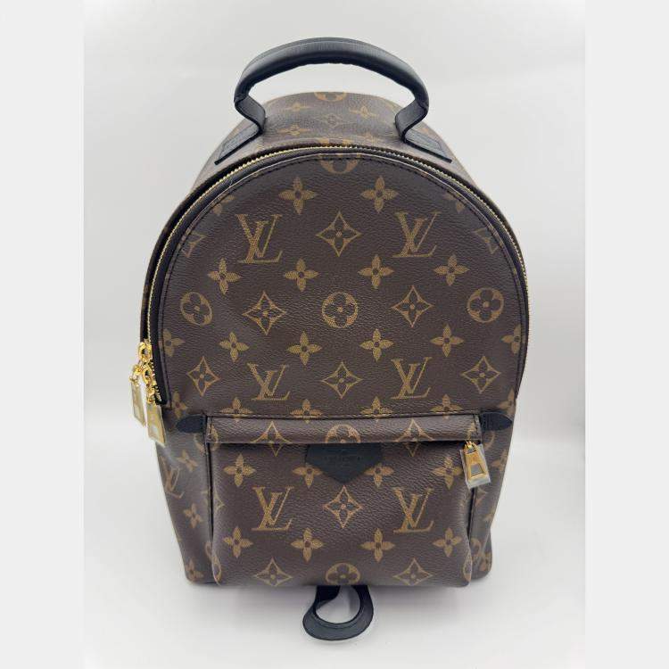 Pre Owned Louis Vuitton Palm Springs PM Monogram Canvas Backpack