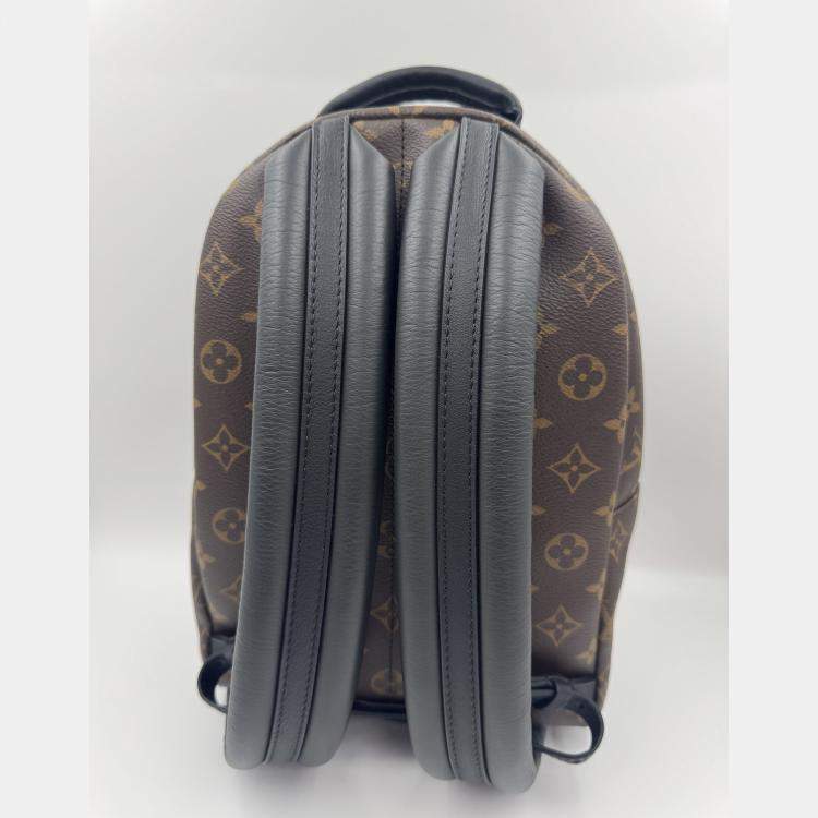 Pre Owned Louis Vuitton Palm Springs PM Monogram Canvas Backpack