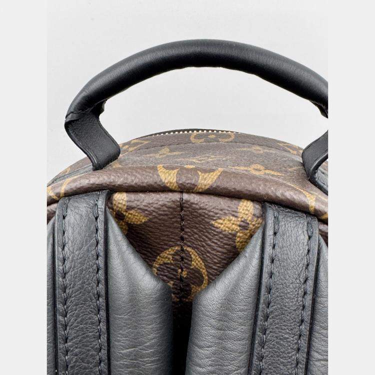 Pre Owned Louis Vuitton Palm Springs PM Monogram Canvas Backpack