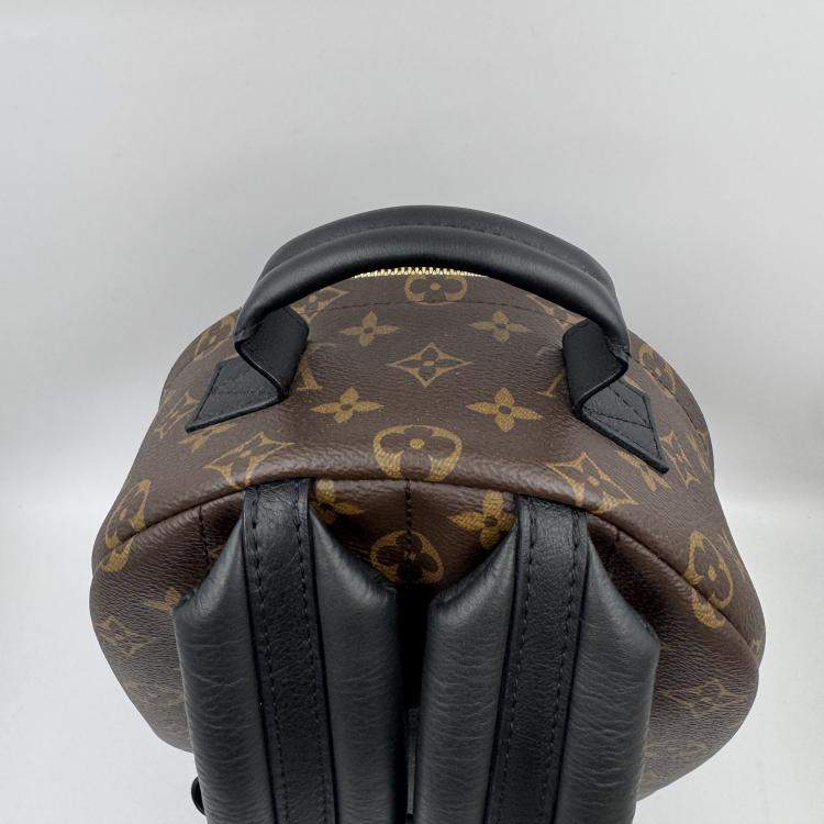 Pre Owned Louis Vuitton Palm Springs PM Monogram Canvas Backpack