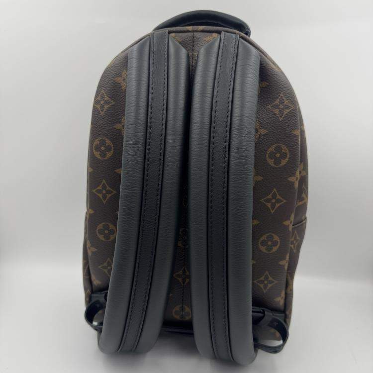 Pre Owned Louis Vuitton Palm Springs PM Monogram Canvas Backpack