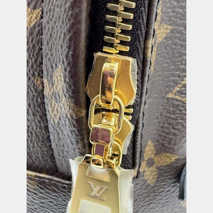 Pre Owned Louis Vuitton Palm Springs PM Monogram Canvas Backpack