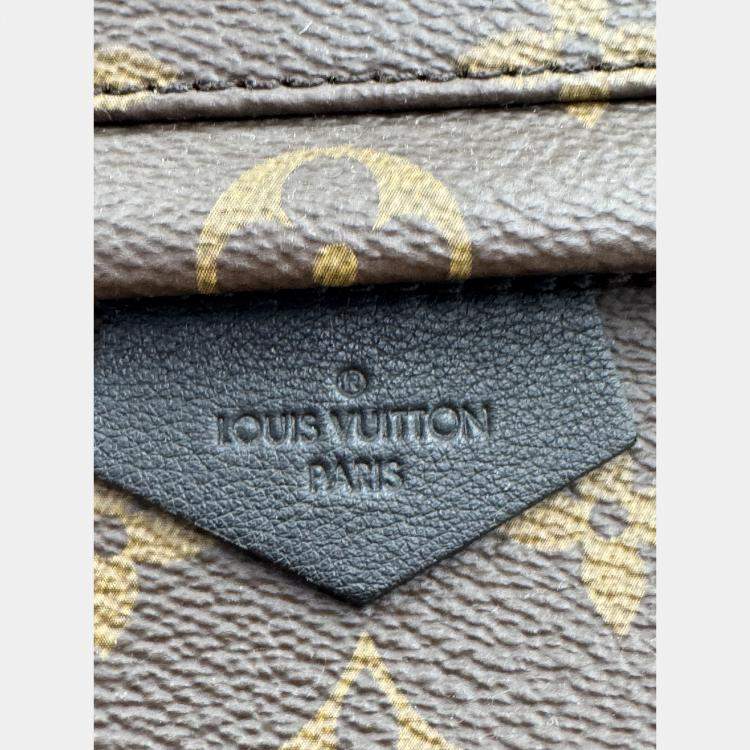 Pre Owned Louis Vuitton Palm Springs PM Monogram Canvas Backpack