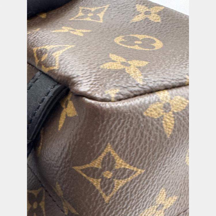 Pre Owned Louis Vuitton Palm Springs PM Monogram Canvas Backpack