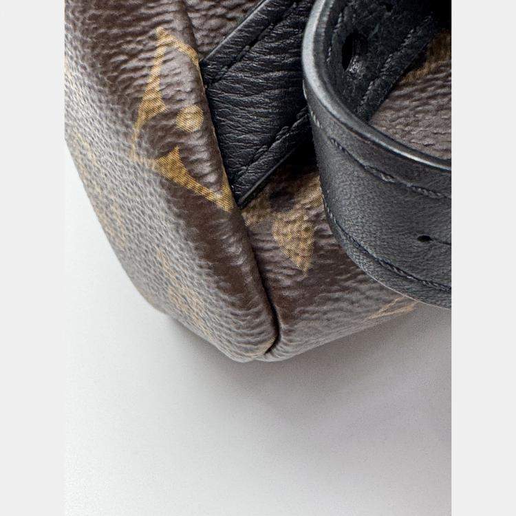 Pre Owned Louis Vuitton Palm Springs PM Monogram Canvas Backpack