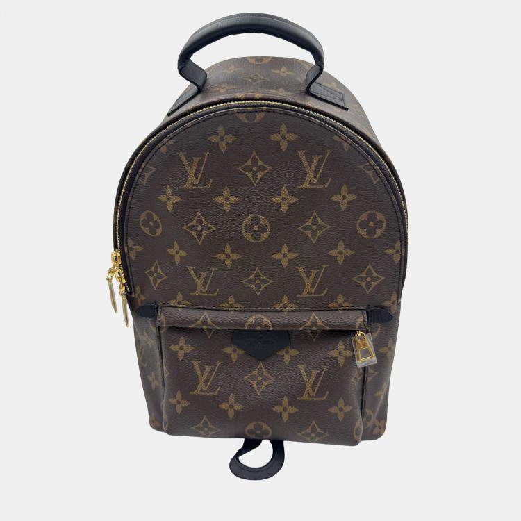 Pre Owned Louis Vuitton Palm Springs PM Monogram Canvas Backpack