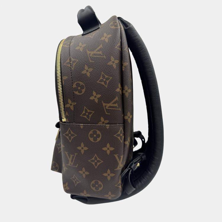 Pre Owned Louis Vuitton Palm Springs PM Monogram Canvas Backpack
