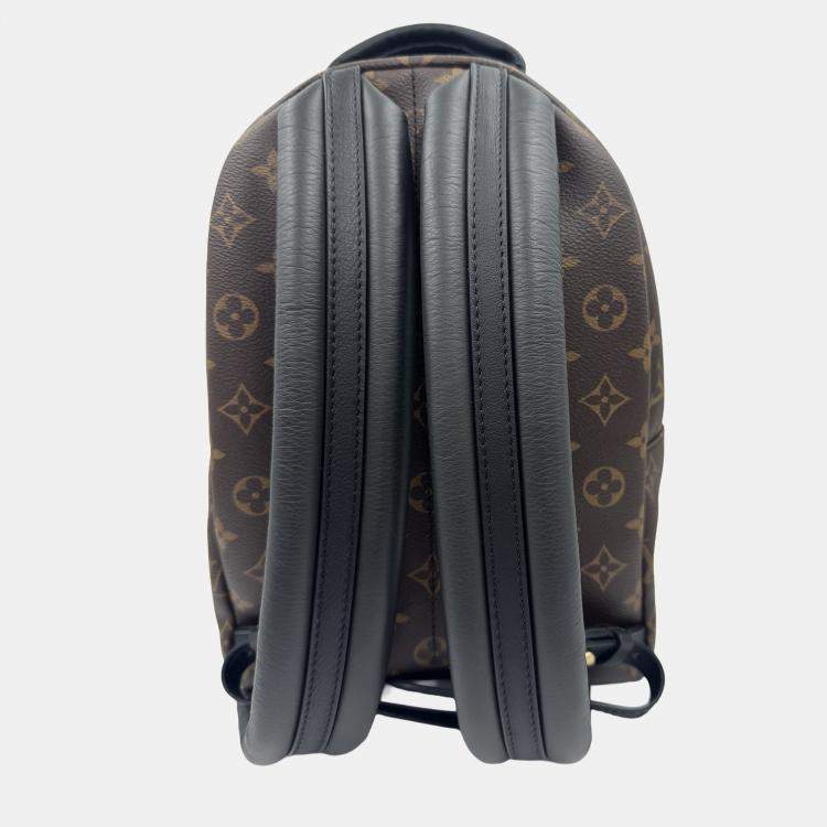 Pre Owned Louis Vuitton Palm Springs PM Monogram Canvas Backpack