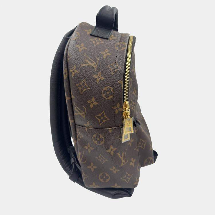Pre Owned Louis Vuitton Palm Springs PM Monogram Canvas Backpack