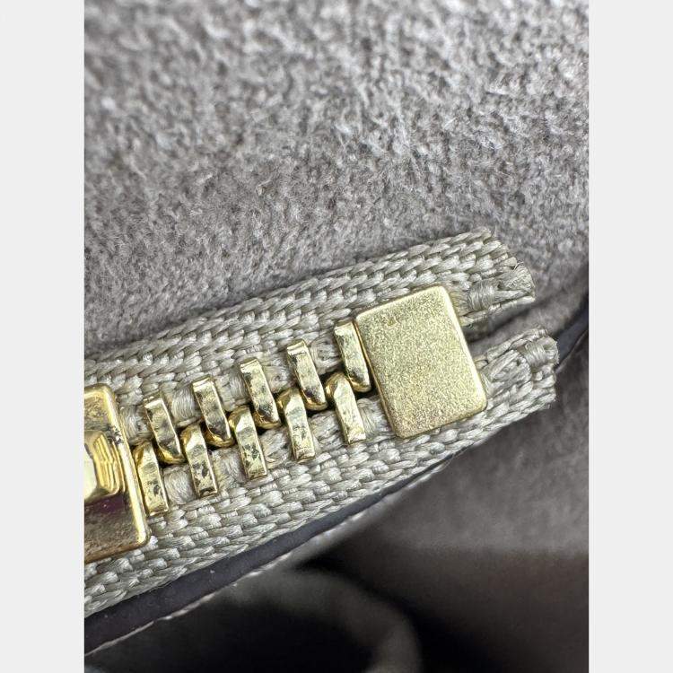 Pre Owned Louis Vuitton Diane PM grey Shoulder Bag