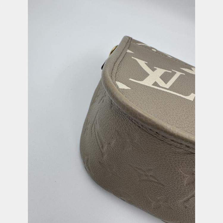 Pre Owned Louis Vuitton Diane PM grey Shoulder Bag