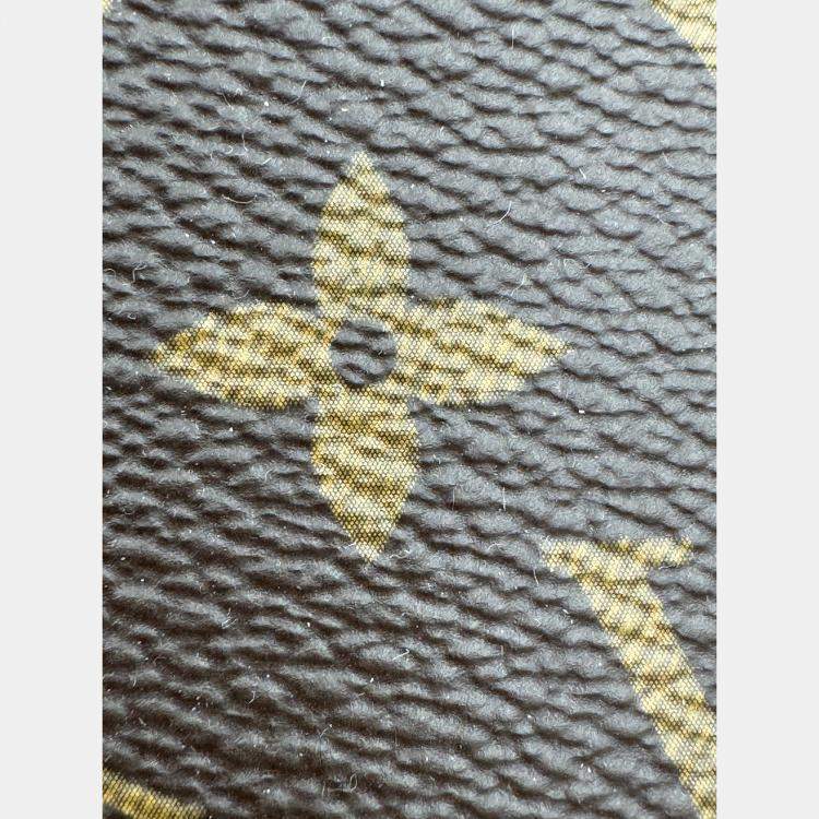 Pre Owned Louis Vuitton Monogram Canvas Multi Pochette Accessories Bag