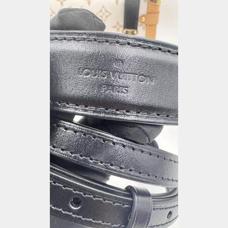 Pre Owned Louis Vuitton Side Trunk Beige Monogram Dune MM Bag