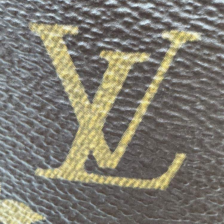 Pre Owned Louis Vuitton Twinny Other Brown Monogram Canvas Bag