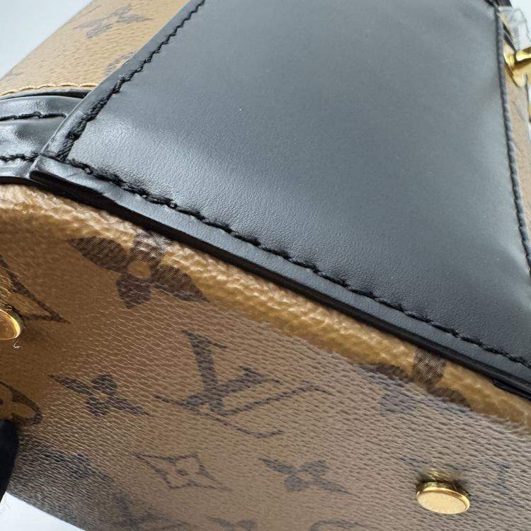 Pre Owned Louis Vuitton Brown/Black Monogram Reverse Cannes Handbag