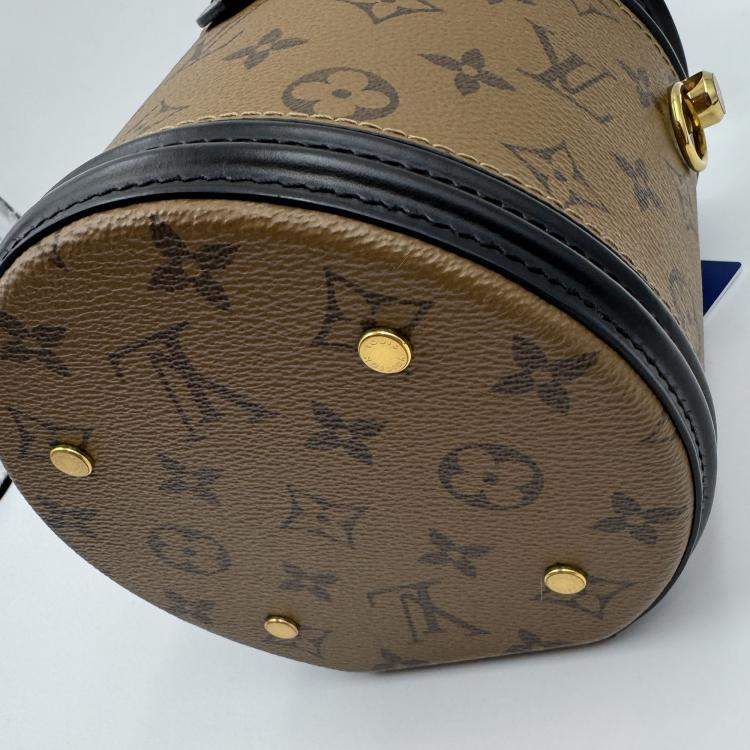 Pre Owned Louis Vuitton Brown/Black Monogram Reverse Cannes Handbag