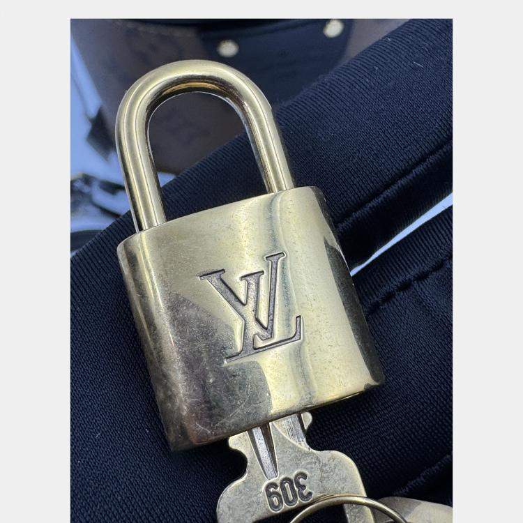 Pre Owned Louis Vuitton Brown/Black Monogram Reverse Cannes Handbag