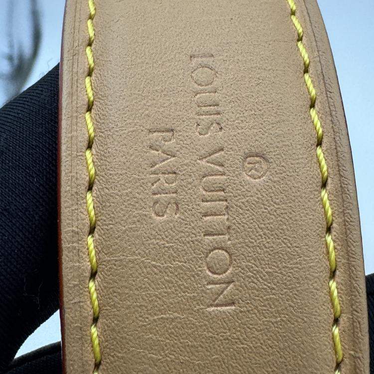 Pre Owned Louis Vuitton Side Trunk Brown Monogram mini