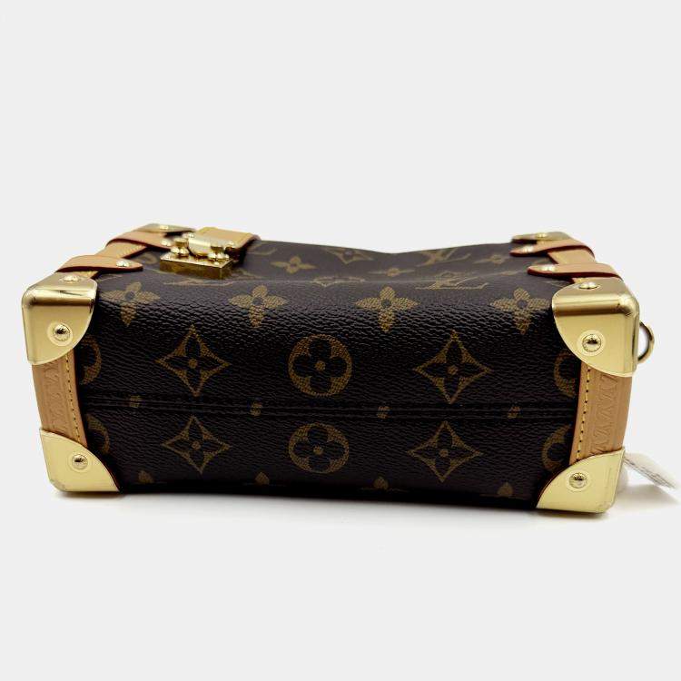 Pre Owned Louis Vuitton Side Trunk Brown Monogram mini