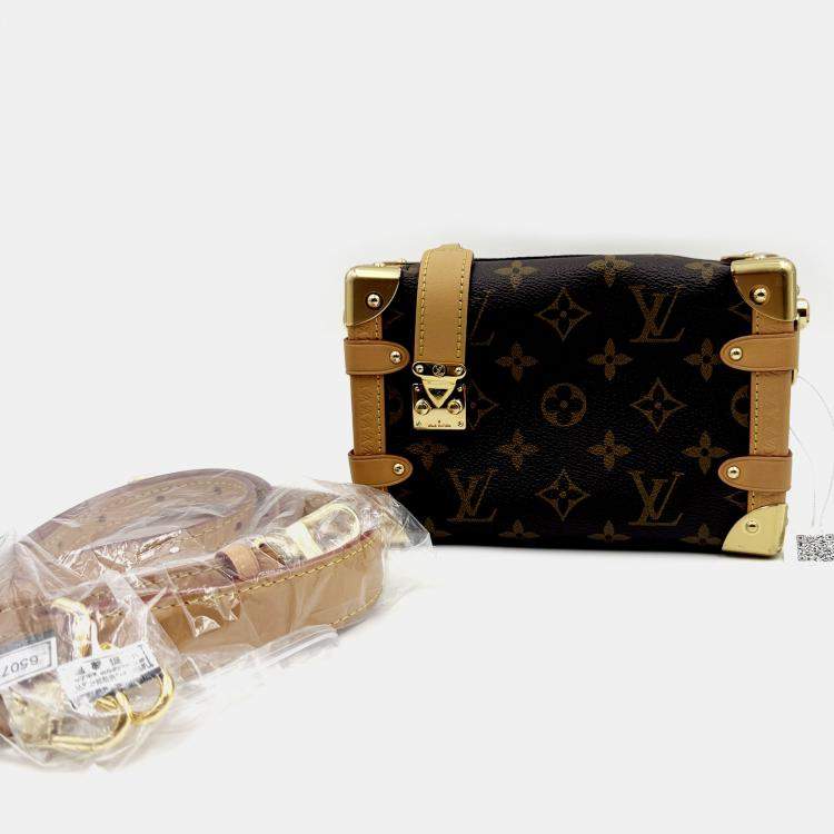 Pre Owned Louis Vuitton Side Trunk Brown Monogram mini