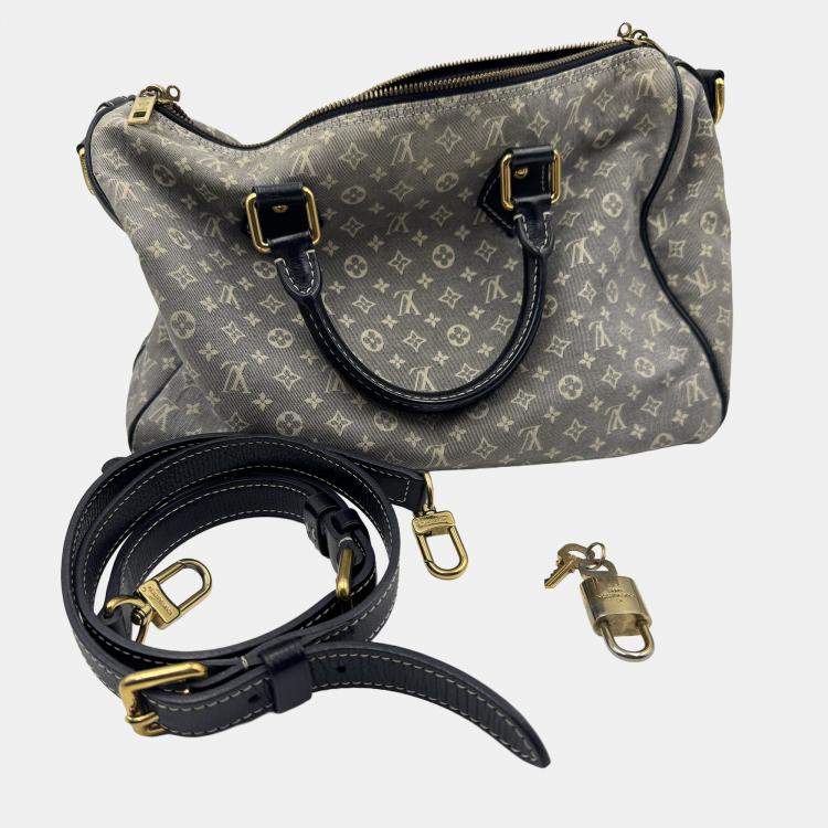 Pre Owned Louis Vuitton Grey LV vintage speedy 30