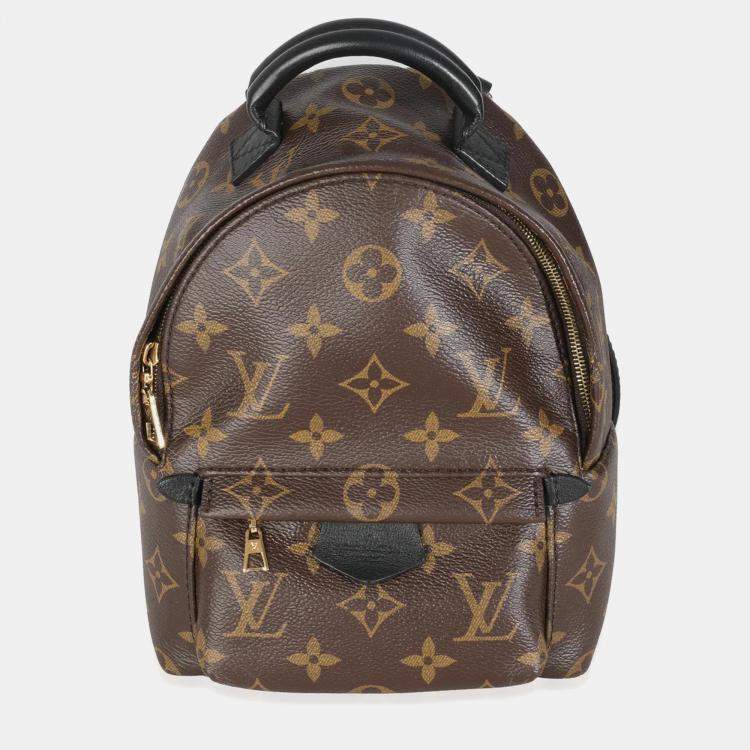 Pre Owned Louis Vuitton Monogram Canvas Mini Palm Springs