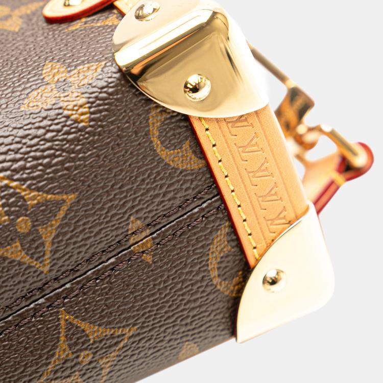Pre Owned Louis Vuitton Brown Monogram Side Trunk PM