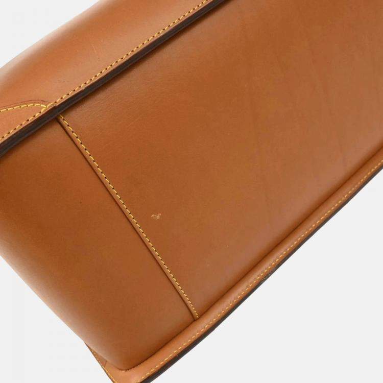 مملوكة مسبقًا Louis Vuitton Brown Nomad Negev GM Handbag