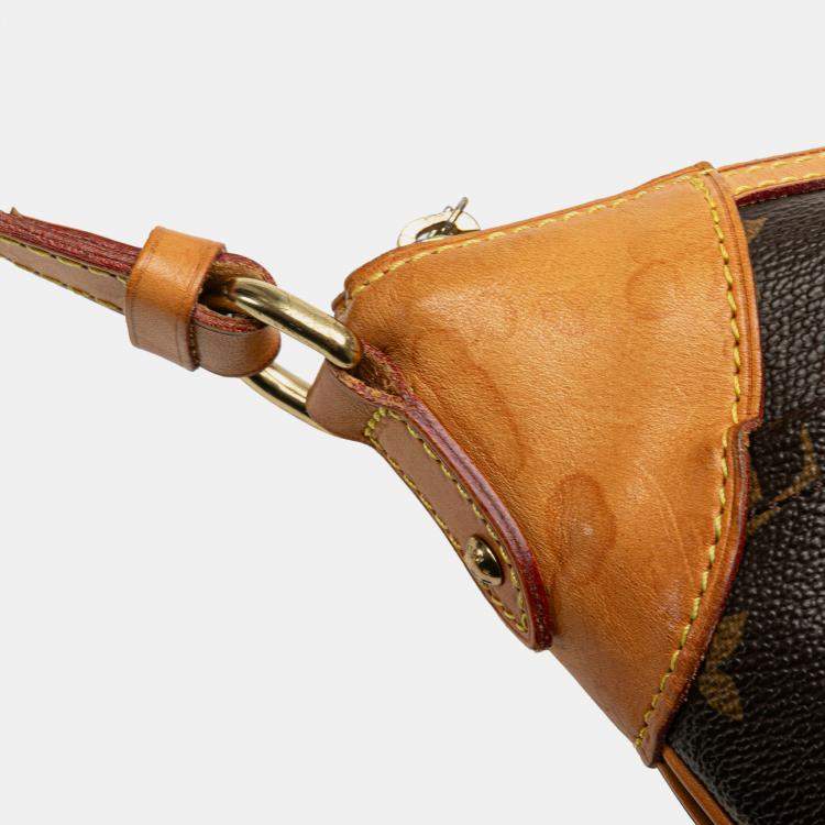 مملوكة مسبقًا Louis Vuitton Brown Monogram Odeon MM