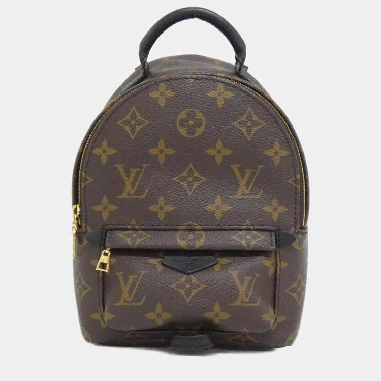 Pre Owned Louis Vuitton Monogram Palm Springs Backpack Mini