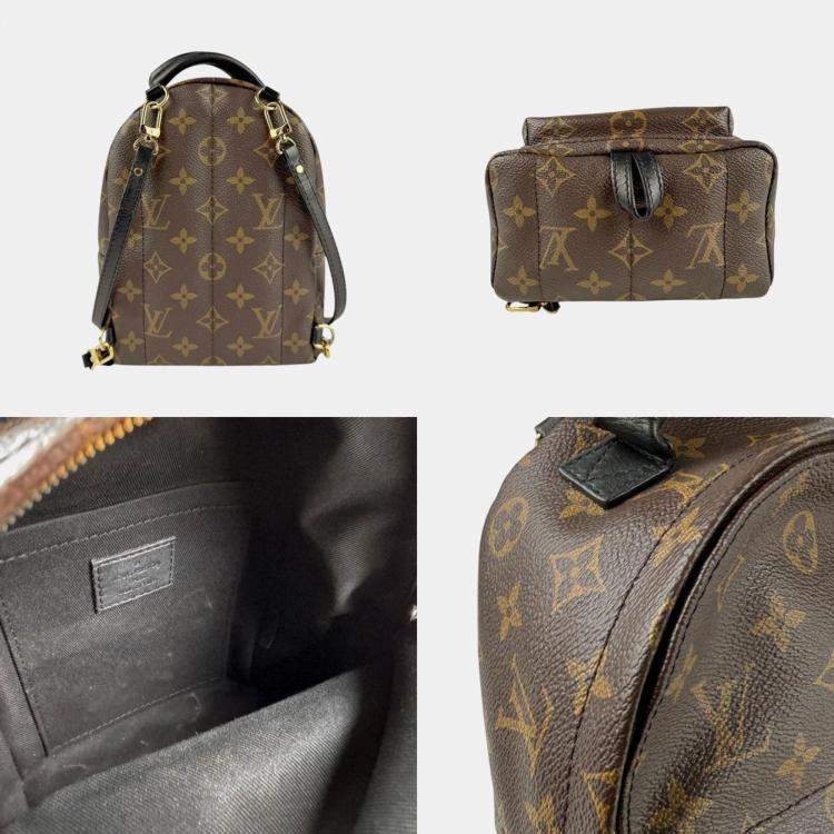 Pre Owned Louis Vuitton Monogram Palm Springs Backpack Mini Canvas Brown