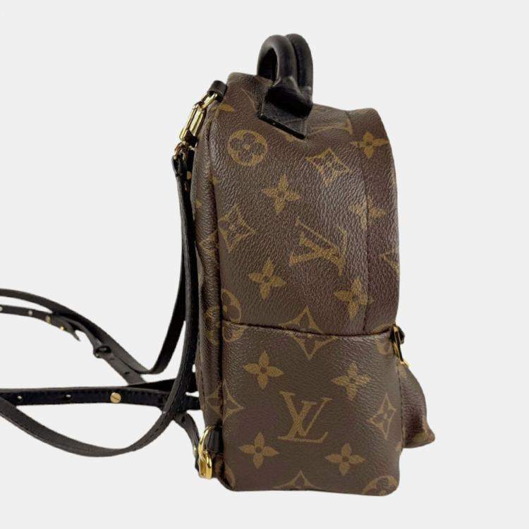 Pre Owned Louis Vuitton Monogram Palm Springs Backpack Mini Canvas Brown
