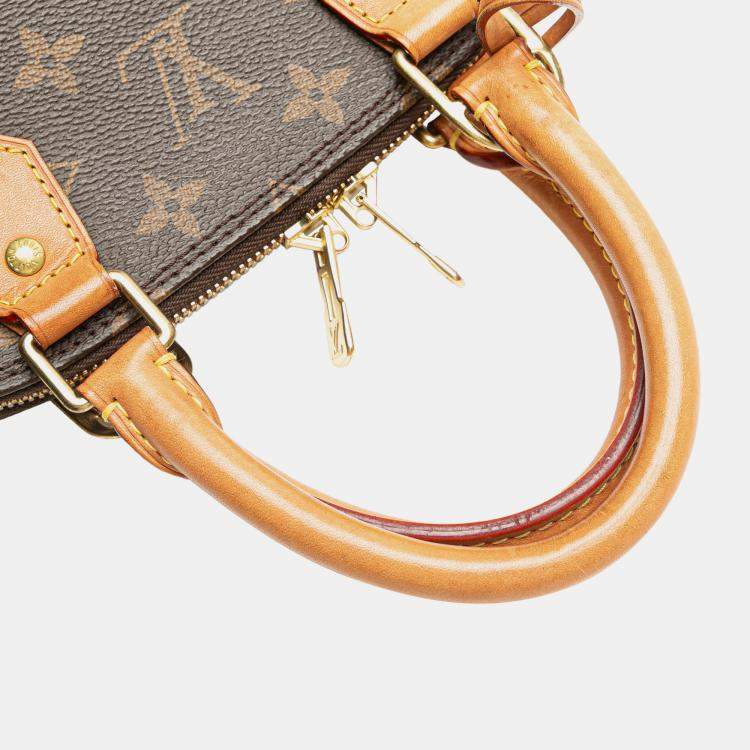 Pre Owned Louis Vuitton Brown Monogram Alma BB