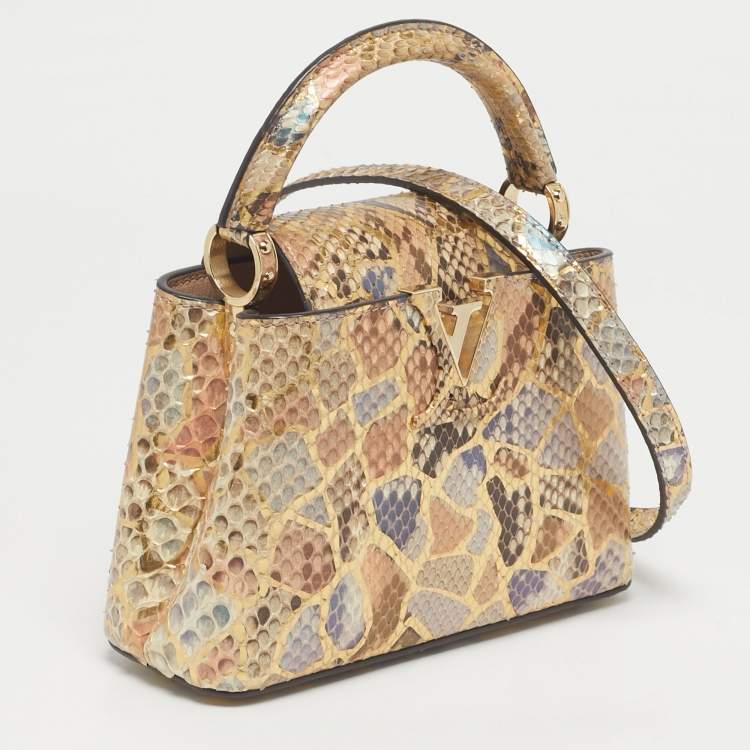 مملوكة مسبقًا Louis Vuitton Multicolor Python Mini Mosaic Capucines Bag