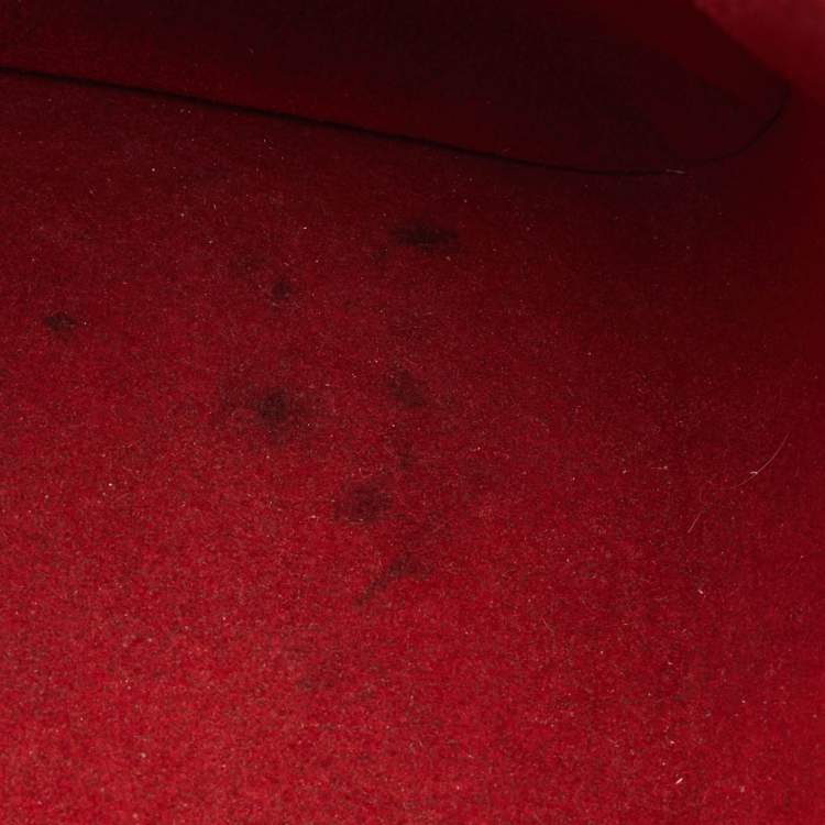 Pre Owned Louis Vuitton Damier Ebene Canvas Trevi PM Bag