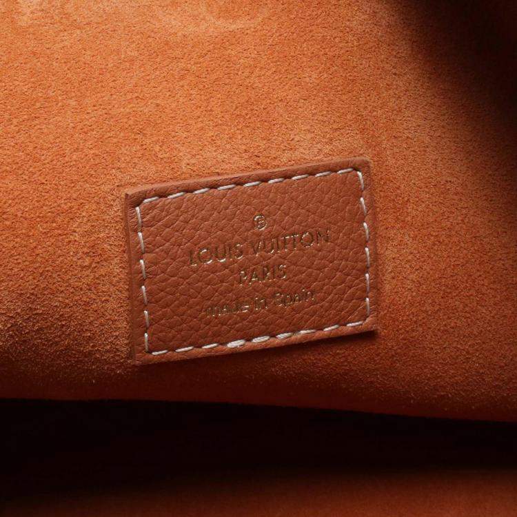 Pre Owned Louis Vuitton Brown Grained Calfskin Low Key Hobo MM