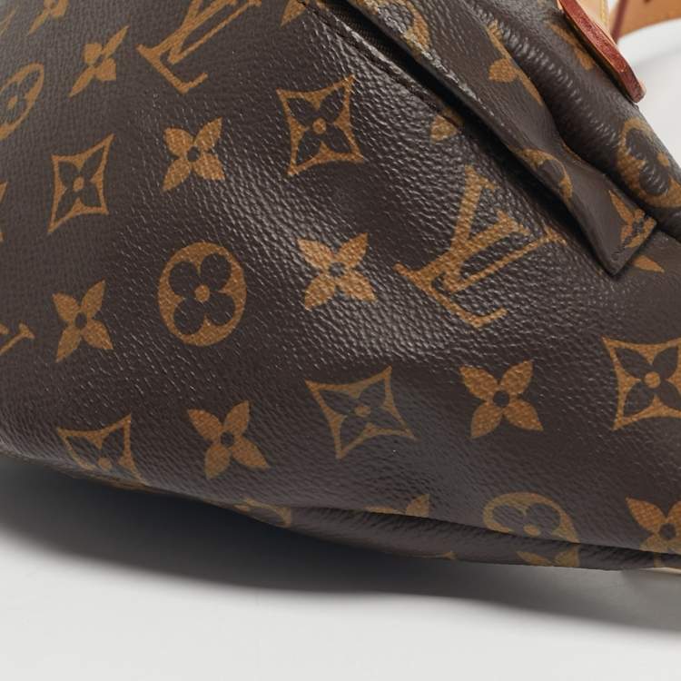 Pre Owned Louis Vuitton Monogram Canvas Bumbag