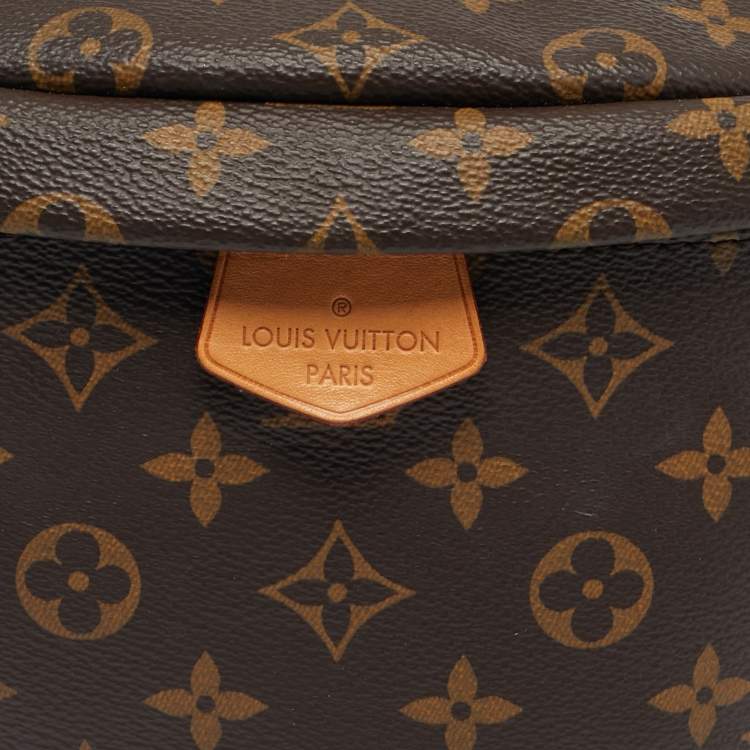 Pre Owned Louis Vuitton Monogram Canvas Bumbag