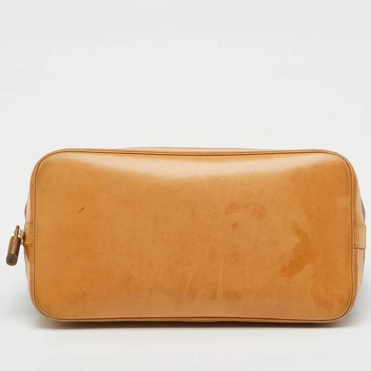 Pre Owned Louis Vuitton Monogram Canvas Alma PM Bag