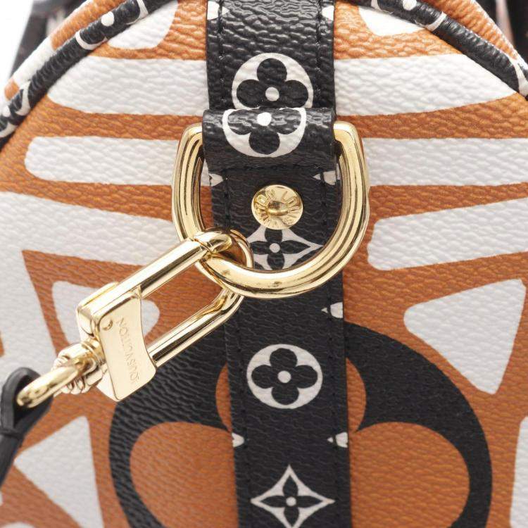 Pre Owned Louis Vuitton LV Crafty Speedy Bandouliere 25 Multicolor Monogram Giant Coated Canvas Top Handle Bag