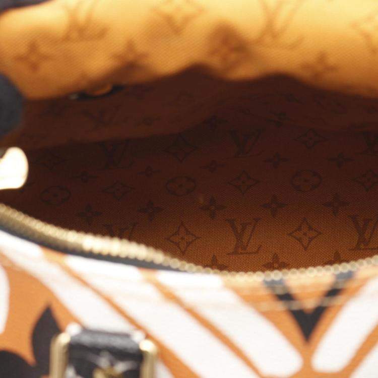 Pre Owned Louis Vuitton LV Crafty Speedy Bandouliere 25 Multicolor Monogram Giant Coated Canvas Top Handle Bag