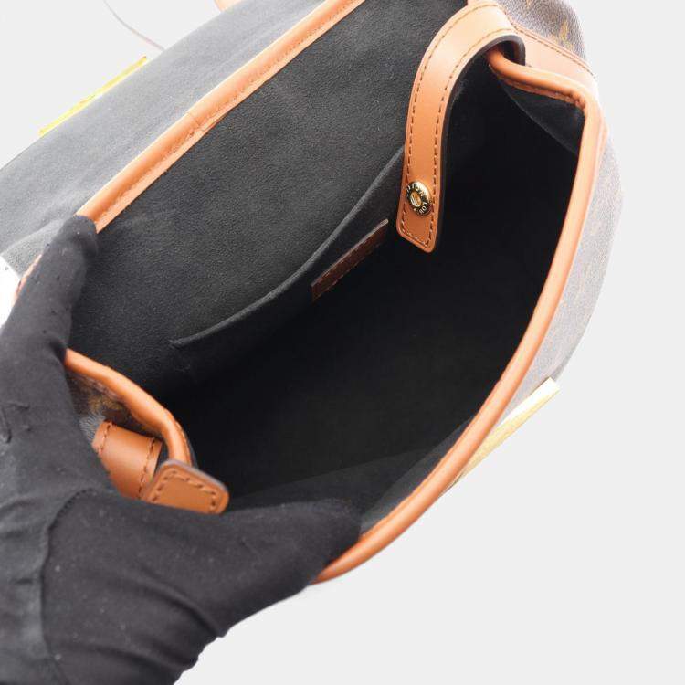 Pre Owned Louis Vuitton Dauphine Brown Monogram Reverse Coated Canvas, Leather Backpack