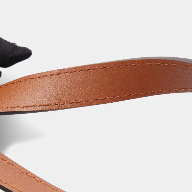 Pre Owned Louis Vuitton Dauphine Brown Monogram Reverse Coated Canvas, Leather Backpack