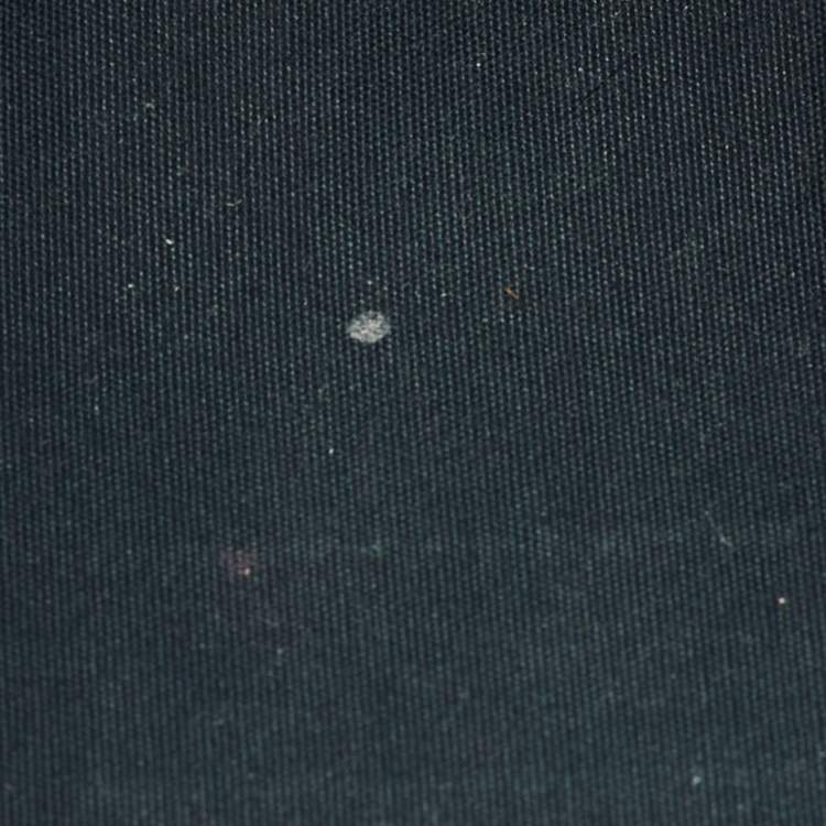 Pre Owned Louis Vuitton Blue Nuit Monogram Vernis Alma PM Bag