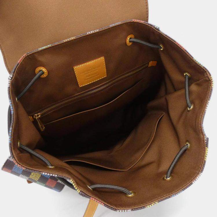 Pre Owned Louis Vuitton Damier Ebene (Lv Birds) Christopher Mm Backpack